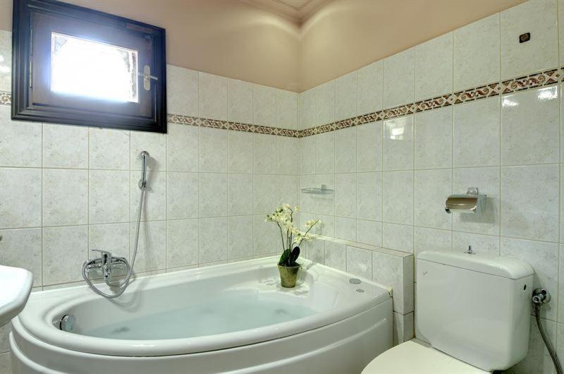 Iatrou Guesthouse Portaria  Bilik gambar