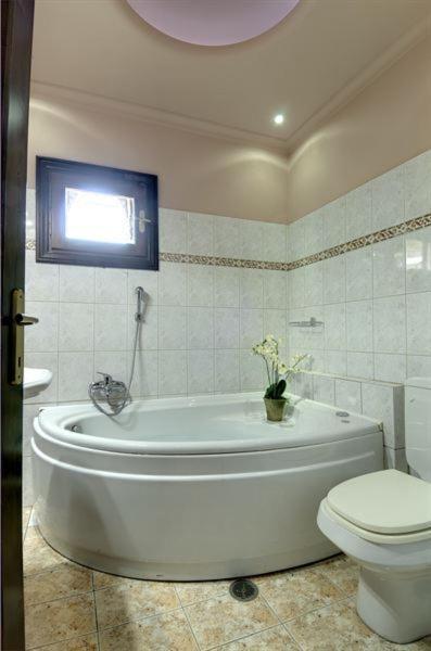 Iatrou Guesthouse Portaria  Bilik gambar